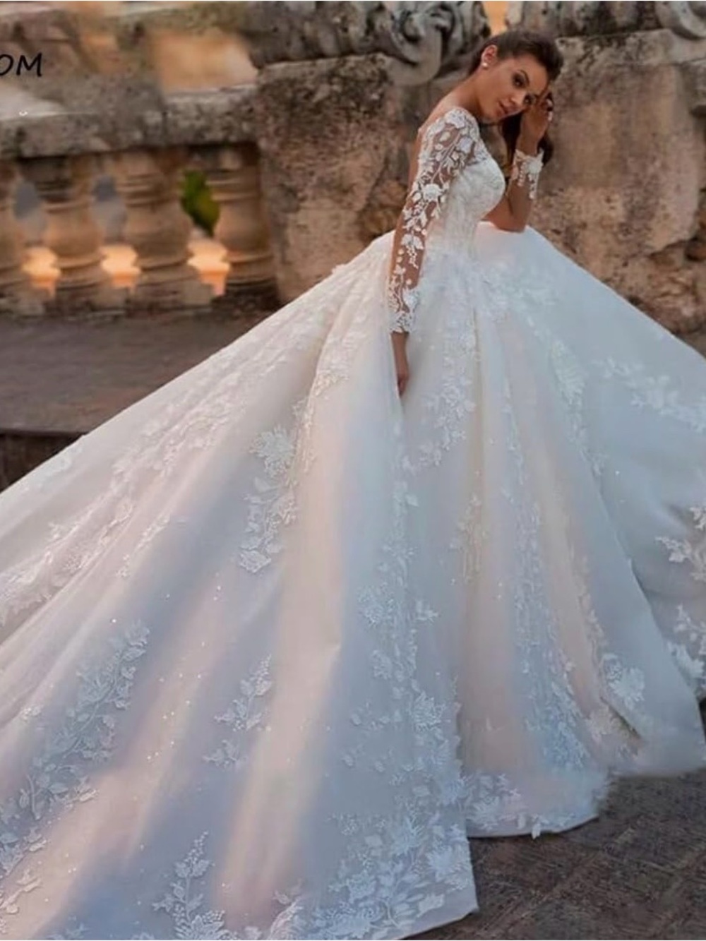 Elegant Lace Ball Gown Wedding Dress in White